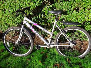 optima storm ladies bike
