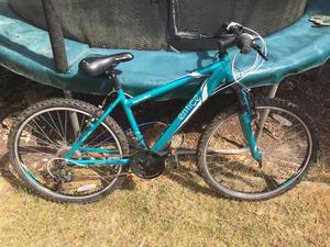 apollo twilight womens mountain bike purple