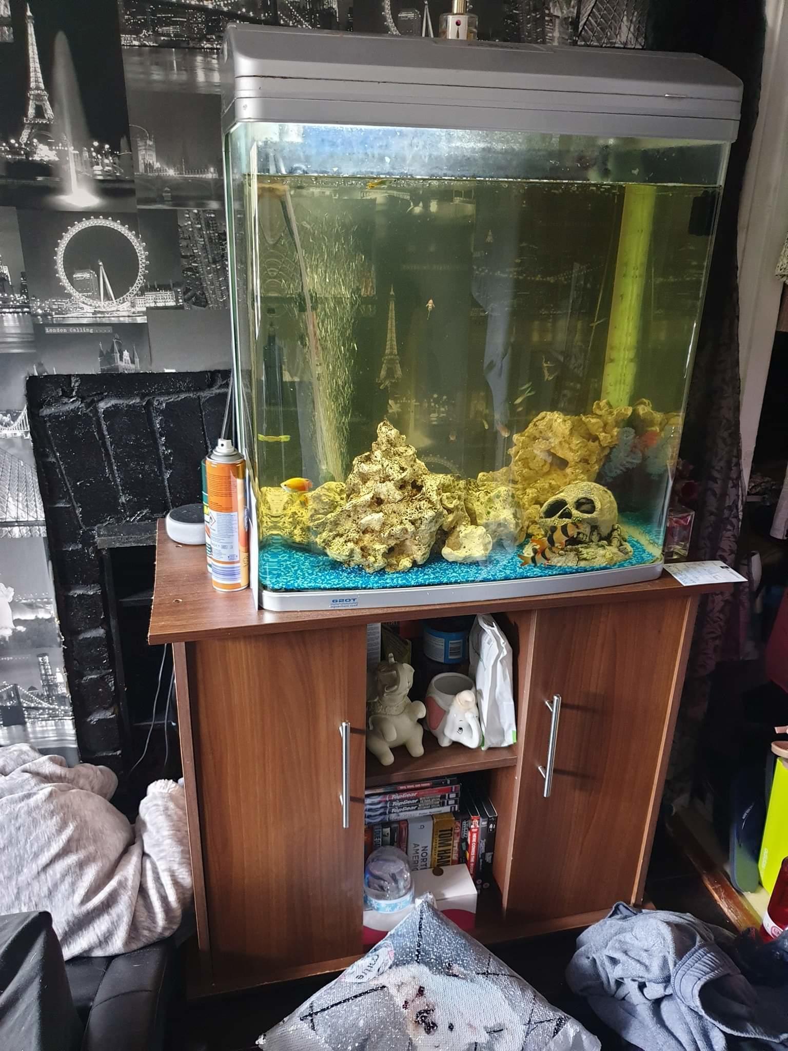 120 litre fish tank 🥇 | Posot Class