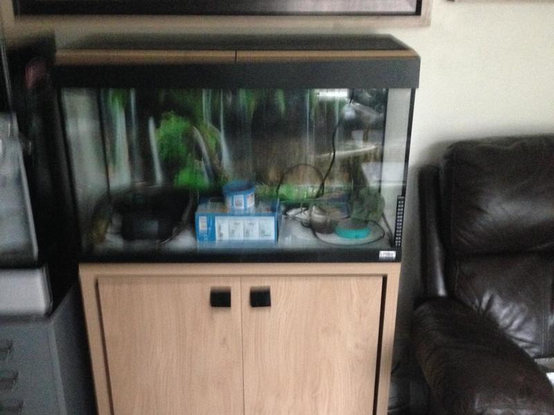 Fluval Roma 90 Rimless Aquarium And Cabinet Posot Class