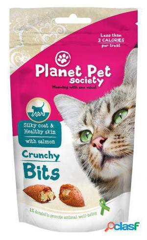 Planet Pet Snack Gato Bites Pelo y Piel 40 GR