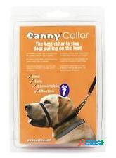 Canny Dog Collar Color Negro T-1