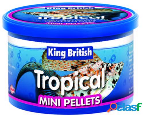 King British Tropical Fish Mini Pellets 45 GR