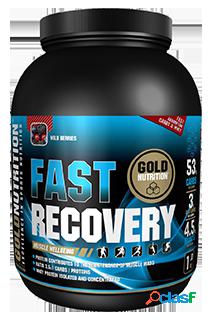 Gold Nutrition Fast Recovery 1 kg Frutas del Bosque