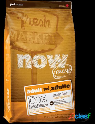Now Grain Free Adult 11.3 kg
