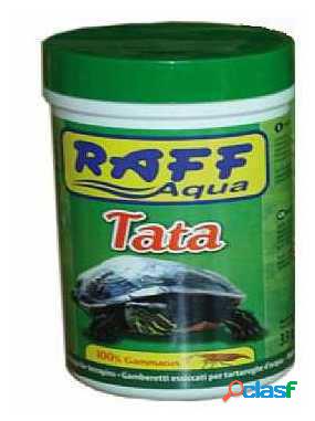 Raff Tata 33 GR