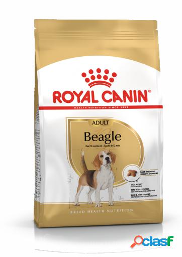 Royal Canin Pienso Beagle Adult 12 KG