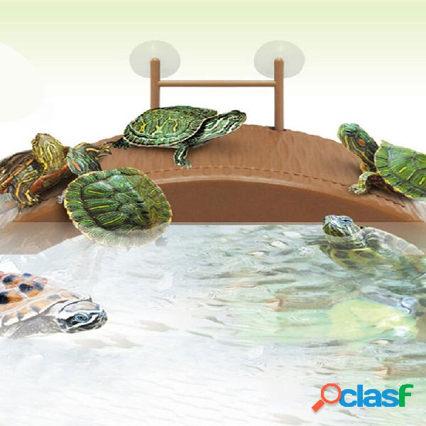 Acuario Tanque Tortuga Reptil Tomando el sol Terraza Isla