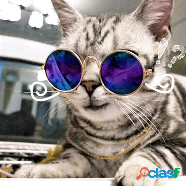 Gafas de la mascota Gato de mascota gato gafas de juguete