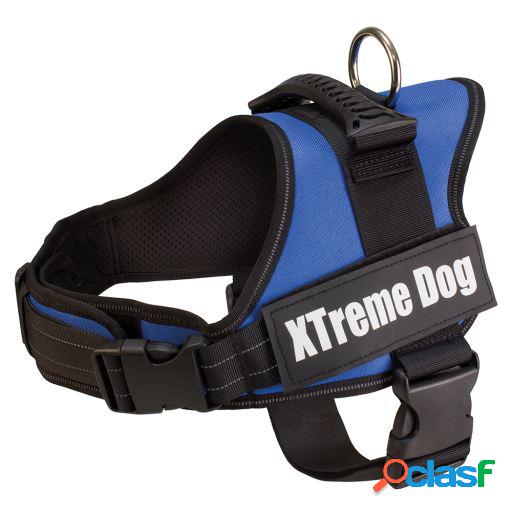 Arnés Xtreme Dog Azul M Arquivet