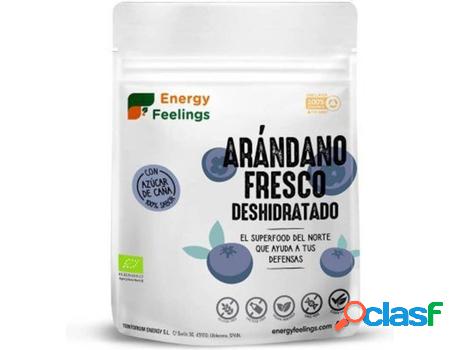 Arándano Eco Deshidratado ENERGY FEELINGS (150 g - Mirtilo)