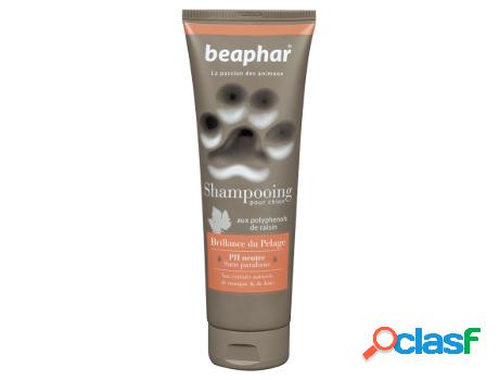 Champu BEAPHAR De Perros Coat High Gloss Cosmetics 750 ml)