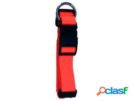 Collar para Perros FREEDOG Naranja flúor neon (2.5 cm)