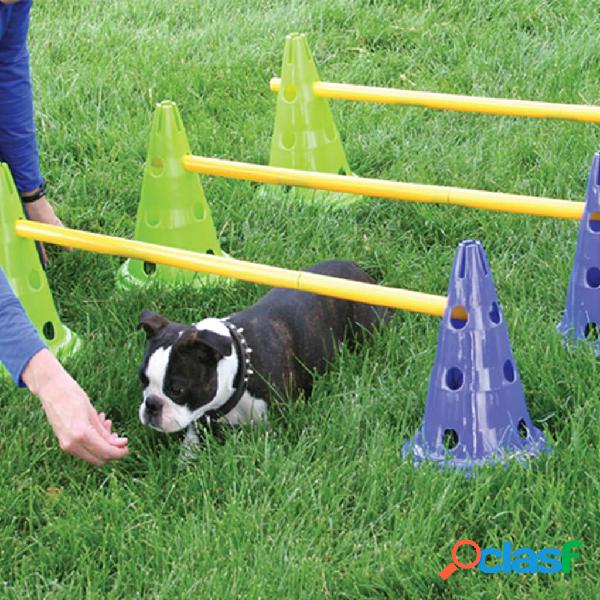 FitPAWS Kit de agility para perros Canine Gym