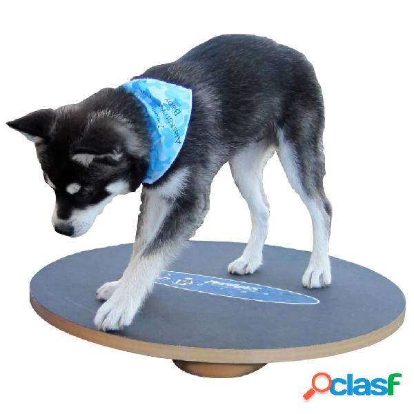 FitPAWS Tabla de equilibrio negro 50 cm