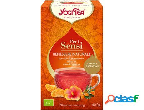 Infusión Ayurvédica Para Los Sentidos Bienestar Natural