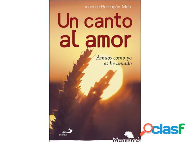 Libro Un Canto Al Amor de Vicente Borragán Mata (Español)