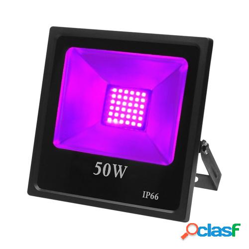 Luz ultravioleta LED Proyector ultravioleta Etapa Lámpara