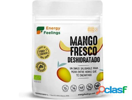 Mango Eco Deshidratado ENERGY FEELINGS (150 g)
