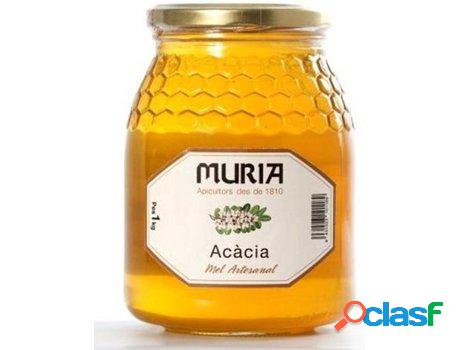 Miel Acacia MURIA (1 kg)