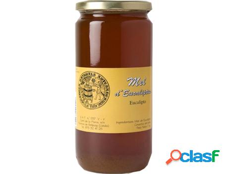 Miel de Eucalipto CAL VALLS (1 kg)