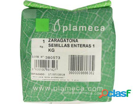 Semillas Enteras de Zaragatona PLAMECA (1 kg)