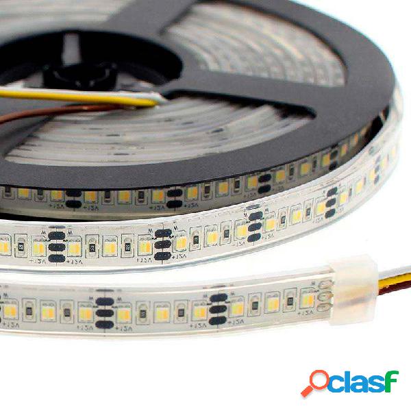 Tira led blanco dual smd3528 dc12v 5m (240 led/m) 48w ip68