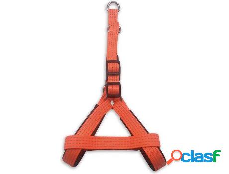 Arnés para Perros ARQUIVET (120 g)