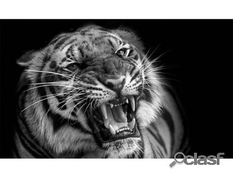 Cuadro OEDIM Tigre Rugiente (Blanco y Negro - 100x60cm -