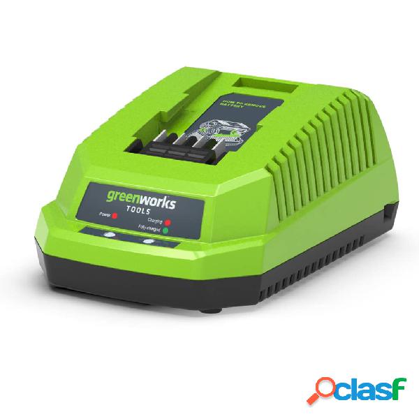 Greenworks Cargador con VDE 40 V 2 A