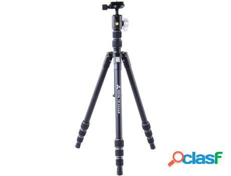 Trípode VANGUARD Vesta TB 204AB (Bola - Aluminio)