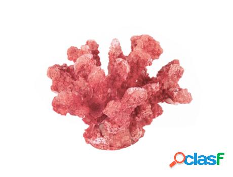 Adorno Coral Mar Rojo de Madera 9X10X13cm Figura Marinera