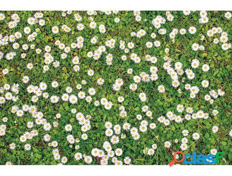 Alfombra OEDIM Estampado Margaritas (Multicolor - 95x165cm -