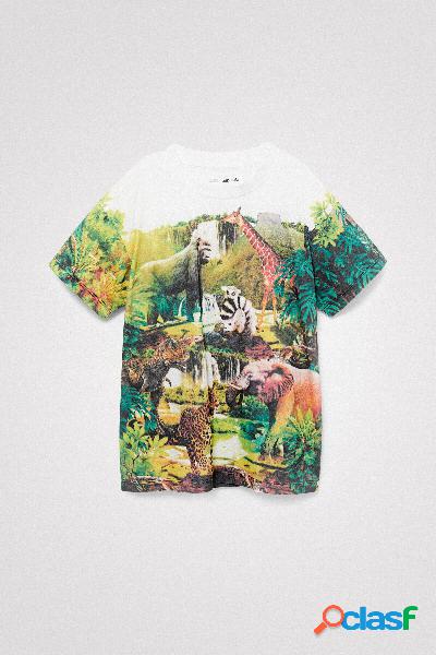 Camiseta dinosaurio