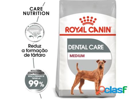 Comida ROYAL CANIN Dental Care Medium Adult Seca para Perro