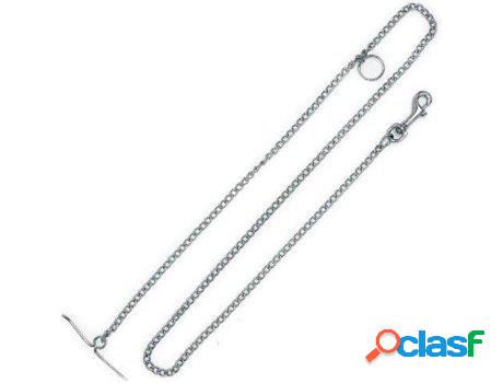 Correa para Perros ARPPE 118706 (Gris - 300 x 1.5 cm)