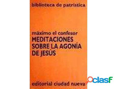 Libro Meditaciones Sobre La AgonãA De Jesãºs de Santo