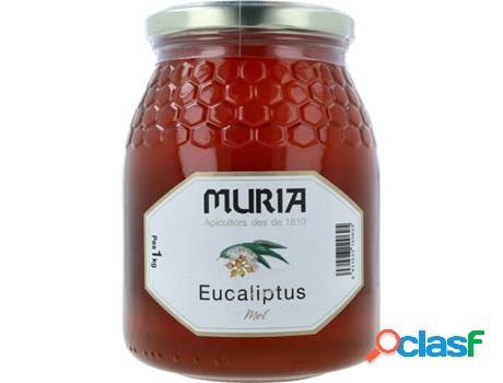 Miel Eucalipto MURIA (1 kg)