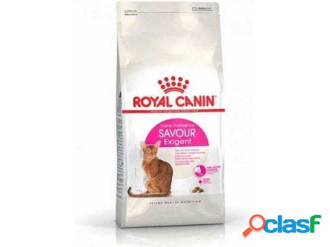 Pienso para Gatos ROYAL CANIN Exigent (10Kg - Seco - Adulto)