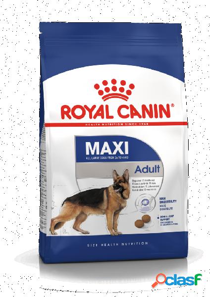 Royal Canin Maxi Adult 5+ 4 kg