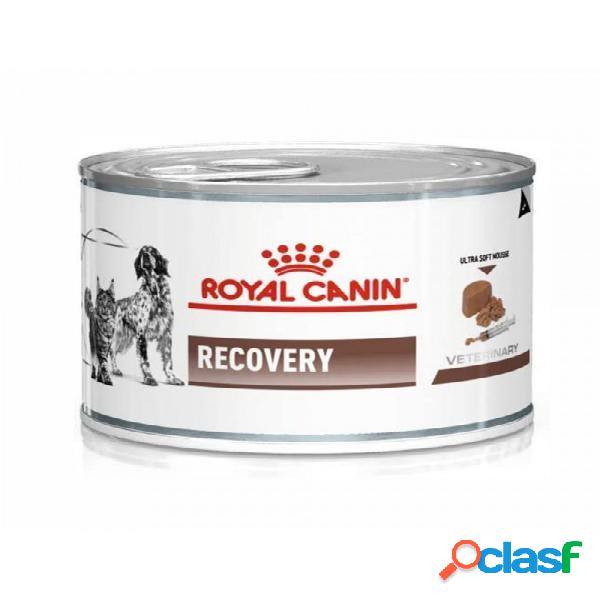 Royal Canin Recovery 195 gr