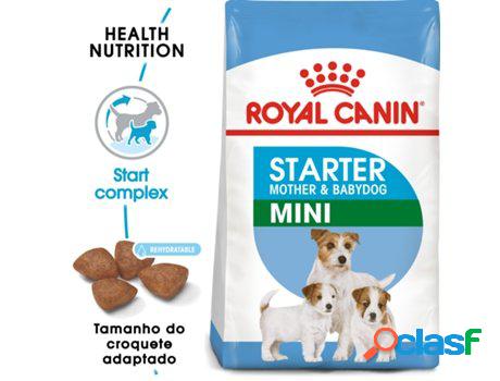Comida ROYAL CANIN Starter Mother & Babydoog Mini Seca para