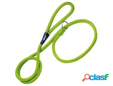 Correa para Perros GLORIA PETS 109628 (Naranja - 1 x 140 cm)