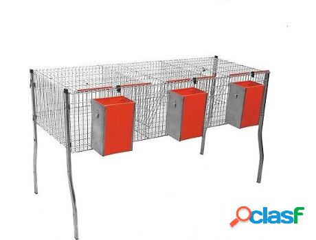 Jaula para Conejos GÓMEZ Y CRESPO (Naranja - 154x63x100cm)