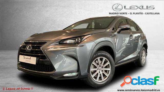 Lexus Nx 300 300h Business Navigation 2wd '18