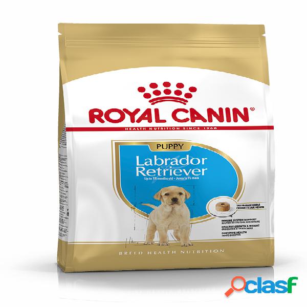 Royal Canin Labrador Retriever Puppy 12 kg