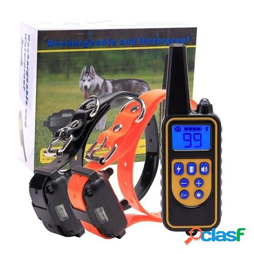 Collar de entrenamiento de perro recargable impermeable IP67