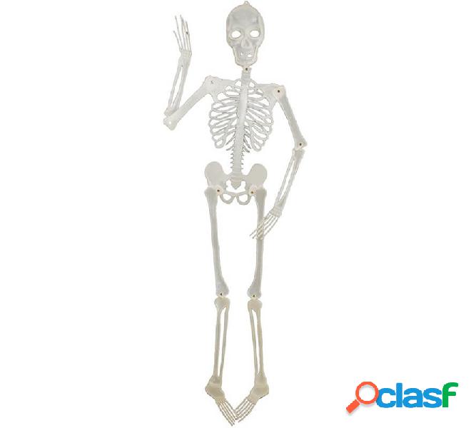 Esqueleto fluorescente 152 cm