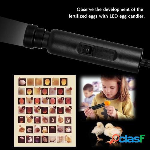 Luz fría brillante LED Huevo Candler Tester Incubadora