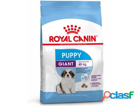 Pienso para Perros ROYAL CANIN (15Kg - Razas Grandes -